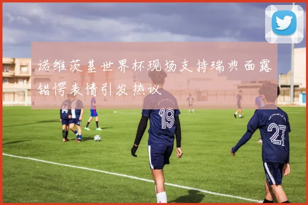 诺维茨基世界杯现场支持瑞典面露错愕表情引发热议