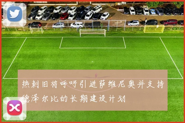 热刺旧将呼吁引进萨维尼奥并支持德泽尔比的长期建设计划